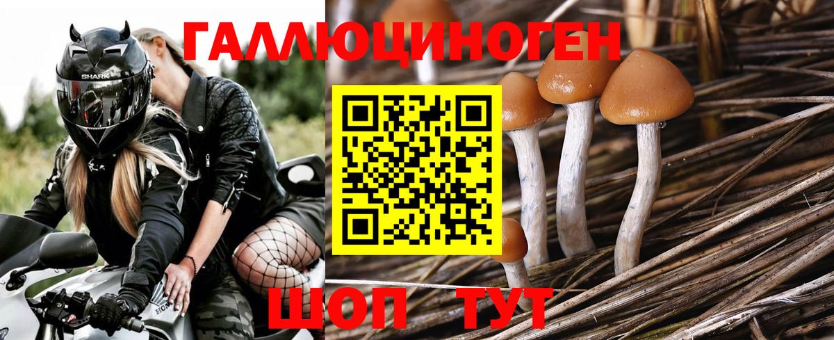 Галлюциногенные грибы мицелий  Вход с VPN  Вязьма 